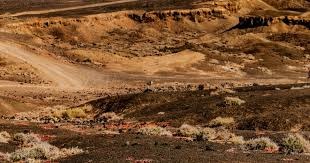 中超冠军数排行：海港4次夺冠并列第二，广州恒大8冠遥遥领先