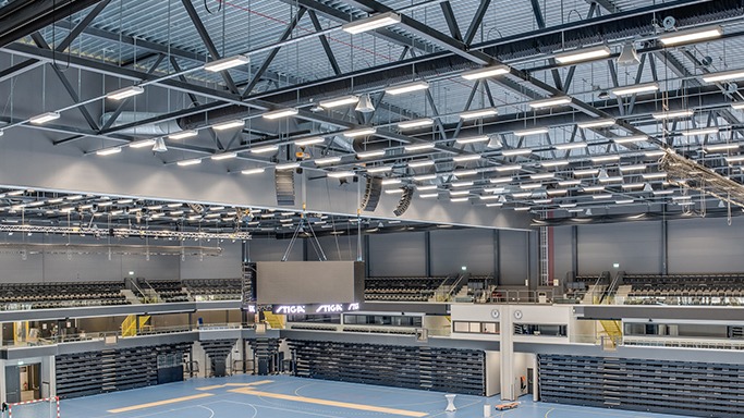 亚利桑那响尾蛇在 2001 年击败洋基王朝，是 21 世纪初最震撼的体育冷门之一