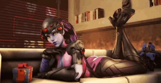 布里的引进 布里的引进